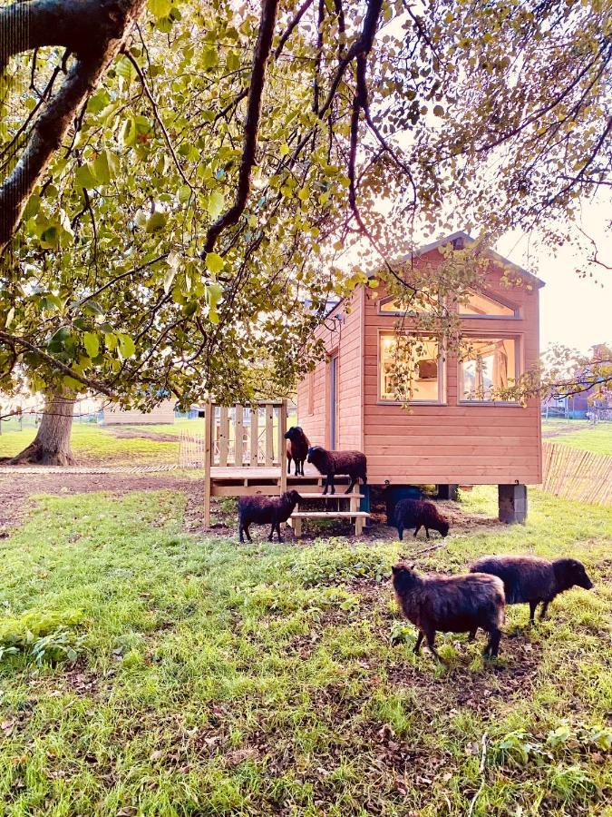 Villa Jolie Tiny House Sous Les Grands Arbres à Cholet Extérieur photo