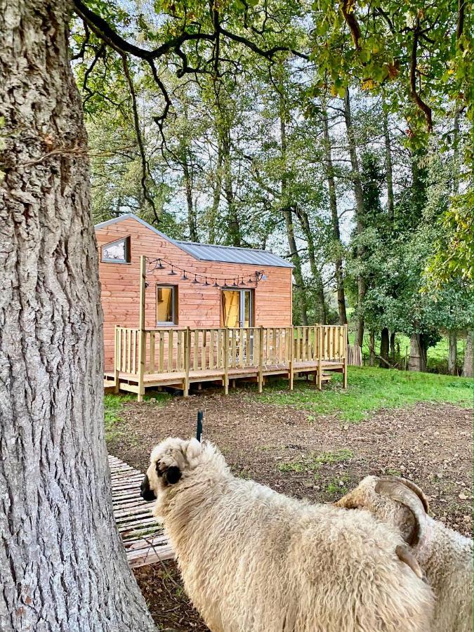 Villa Jolie Tiny House Sous Les Grands Arbres à Cholet Extérieur photo