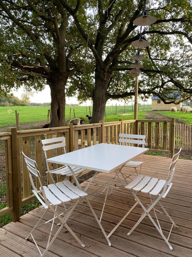 Villa Jolie Tiny House Sous Les Grands Arbres à Cholet Extérieur photo