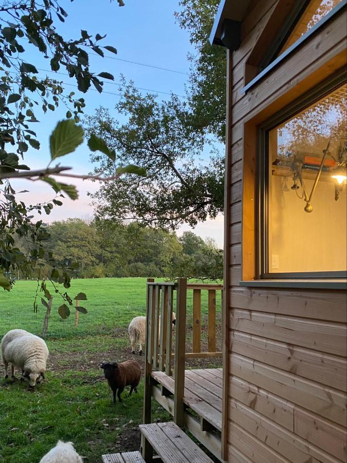 Villa Jolie Tiny House Sous Les Grands Arbres à Cholet Extérieur photo